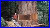 Fastest_Big_Chainsaw_Cutting_Tree_Machines_Skills_Incredible_Homemade_Wood_Cutting_Machines_01_kuc